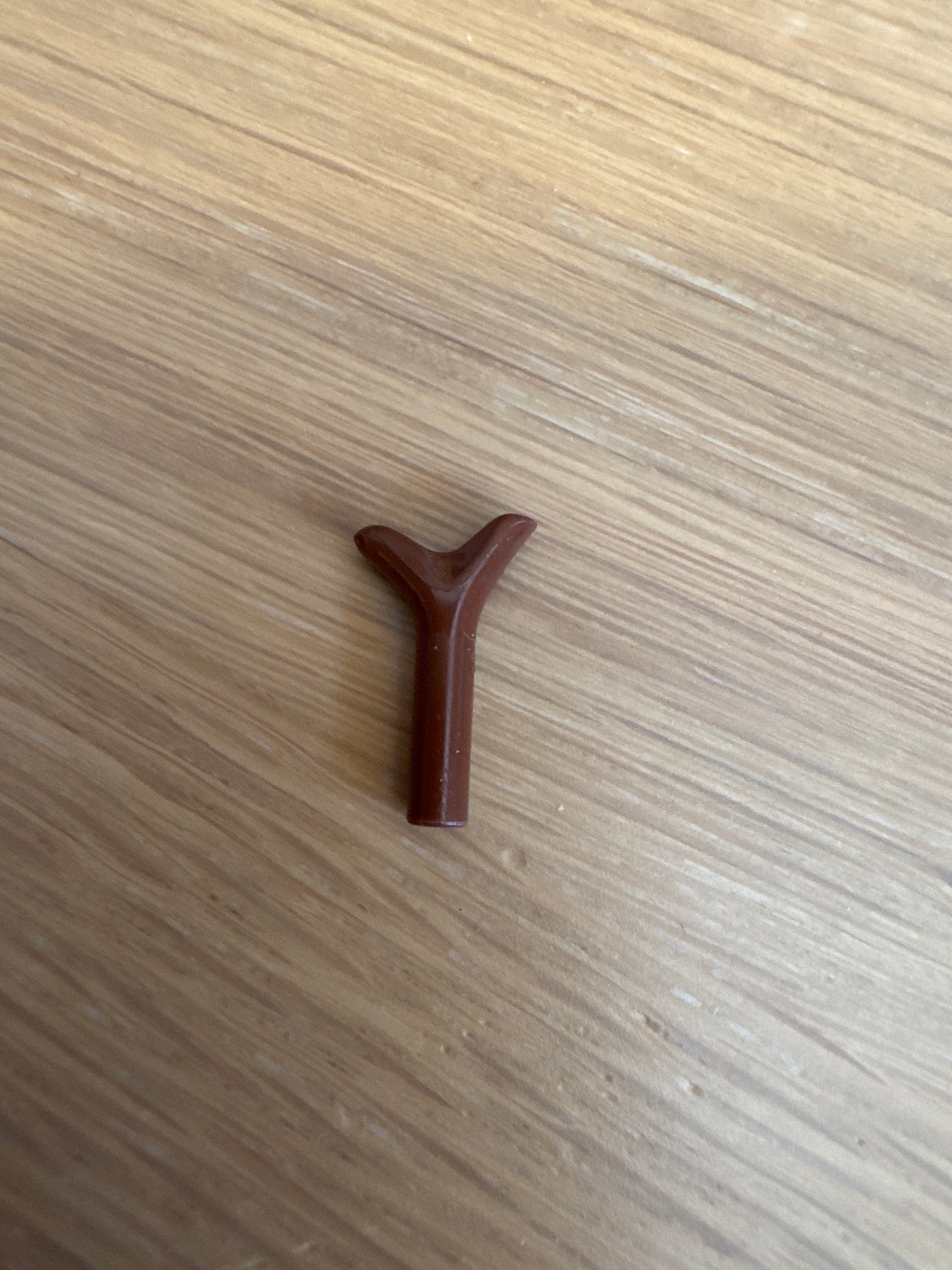 Carrot Top / Twig brown