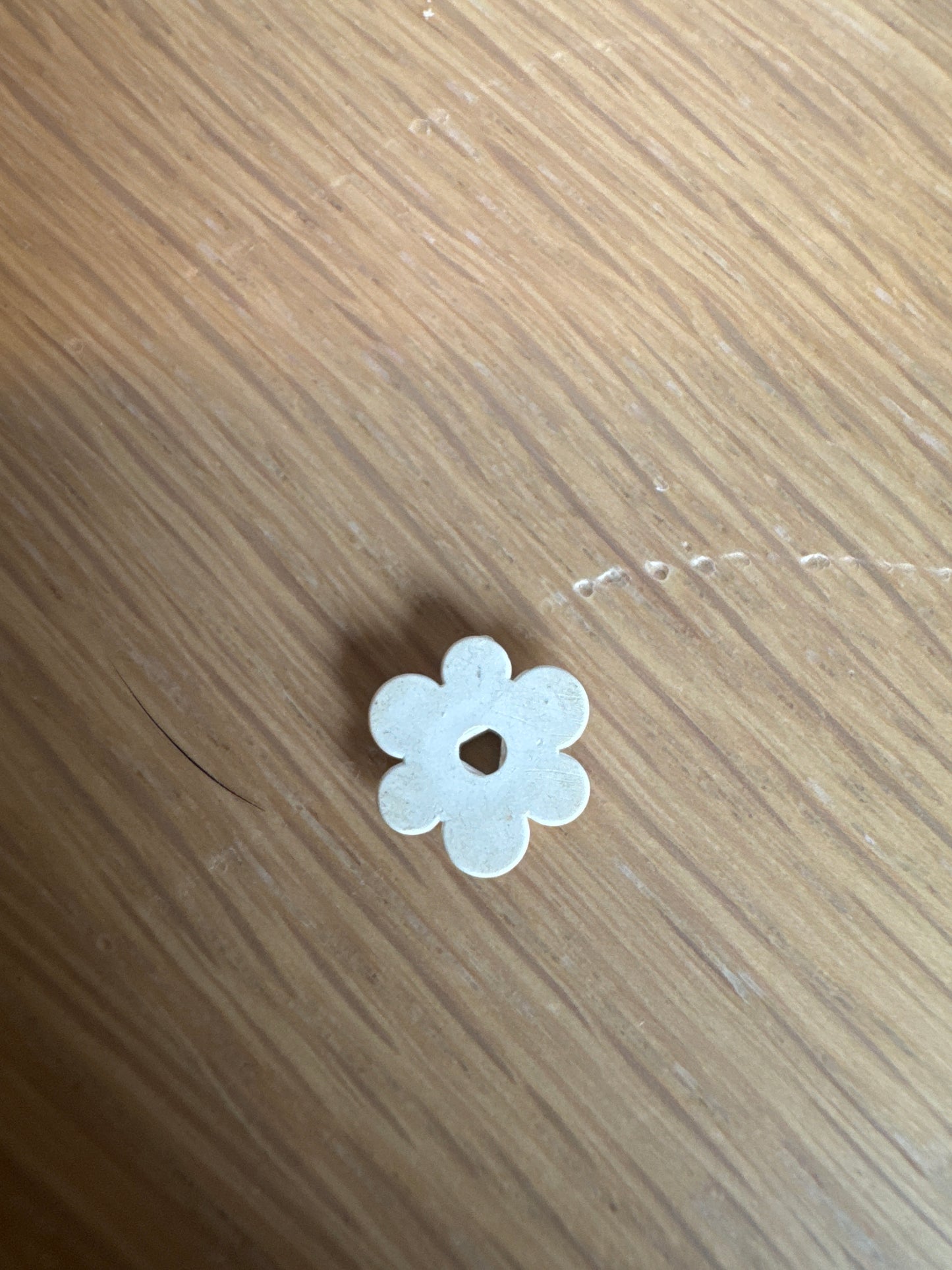 Plant Flower Small white