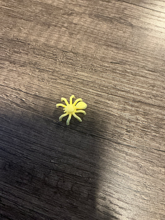 Spider with elongated abdomen bright light yellow